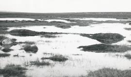 Ketilholuflá Grímtunguheiði 1971