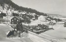 Parti frå Sundre-Aal í Hallingdal 1936