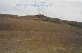 Hrafnaklettar við Gilsdal 65°39.22 N -20° 07.90 V