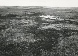 Illiflói 1972, séð til suðurs