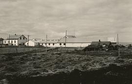 Sláturhúshverfið 1946