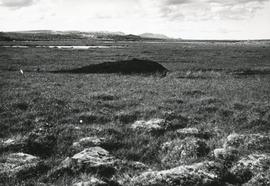 Þórarinsvatn 1972, rúst